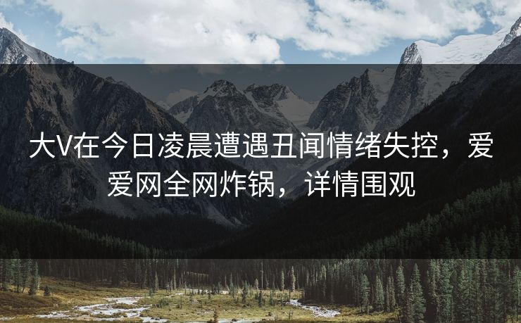 大V在今日凌晨遭遇丑闻情绪失控，爱爱网全网炸锅，详情围观